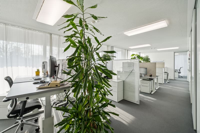 Top ausgebaute Büros an zentralster Lage (5)