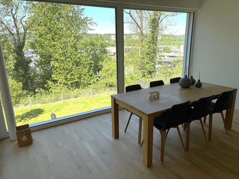 Lichtdurchflutete 5.5-Zimmer-Maisonettewohnung (5)