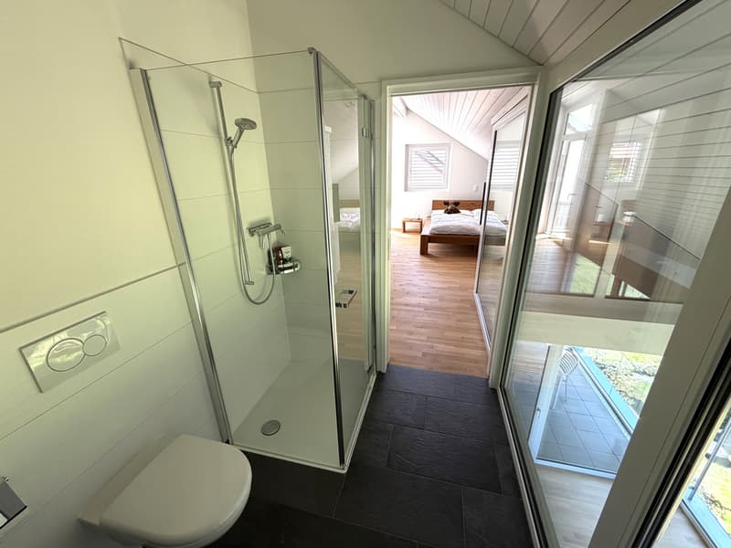 Lichtdurchflutete 5.5-Zimmer-Maisonettewohnung (11)