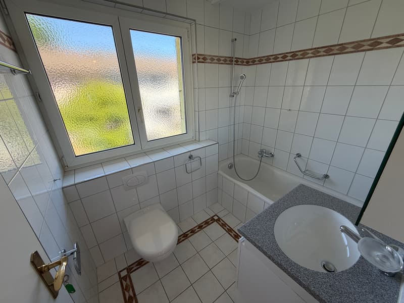 neu renoviertes 4.5-Zimmer-Eckreiheneinfamilienhaus (6)