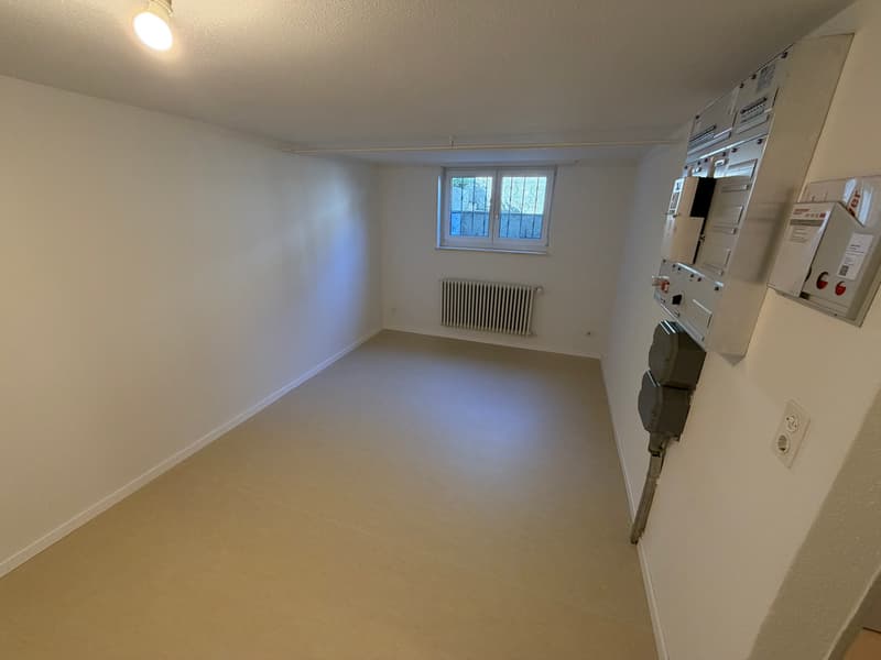 neu renoviertes 4.5-Zimmer-Eckreiheneinfamilienhaus (11)