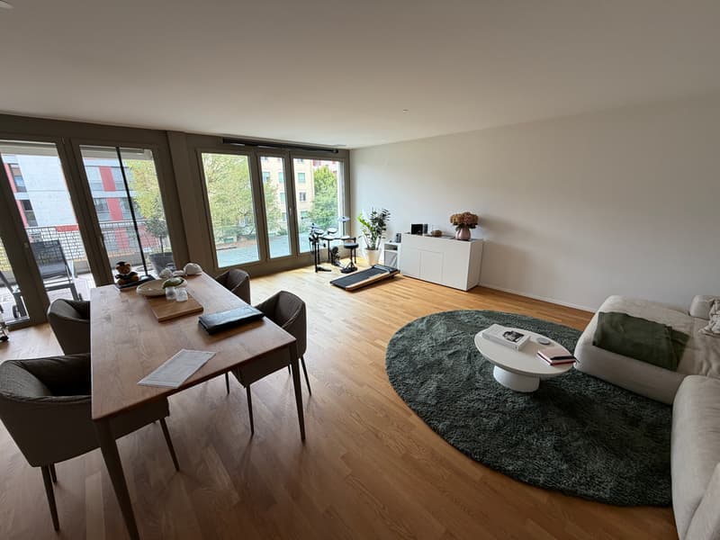 Lichtdurchflutete 4.5-Zimmerwohnung im Neubau (3)