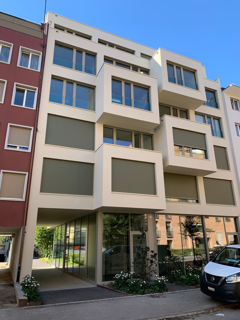 Lichtdurchflutete 4.5-Zimmerwohnung im Neubau (1)