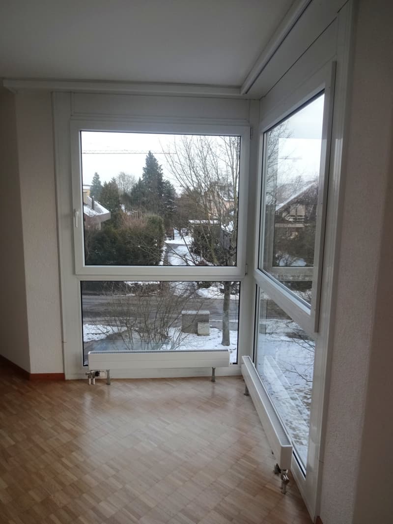 Fenster Wohnzimmer