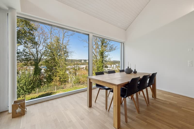 Lichtdurchflutete 5.5-Zimmer-Maisonettewohnung (5)