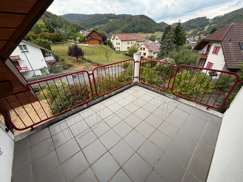 Tolle Aussicht - 5.5-Zimmer Doppel-Einfamilienhaus (7)