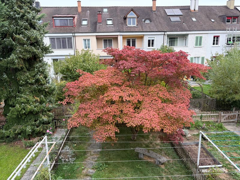 Am Rande der Stadt (Bachlettenquartier) (10)