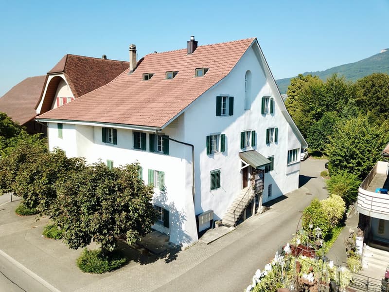 Historisches Mehrfamilienhaus in Kestenholz (1)