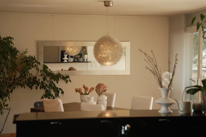 Stadtnahe 5.5 Zimmer Penthouse-Wohnung mit herrlicher Weitsicht (5)