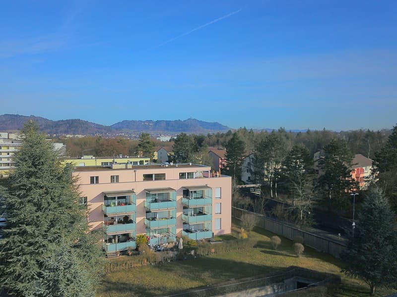 Stadtnahe 5.5 Zimmer Penthouse-Wohnung mit herrlicher Weitsicht (12)