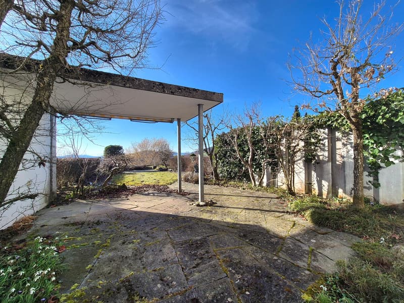 outdoor covered area with stone floor and white walls, surrounded by plants, trees, and a wall