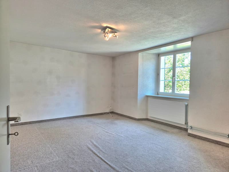 Charmante 3.5-Zimmer-Wohnung mit Kamin und Terrasse in Kestenholz (10)
