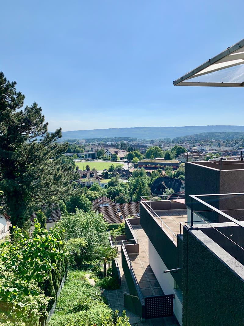 4.5 Zimmer Wohnung mit phantastischer Terrasse und Weitsicht (7)
