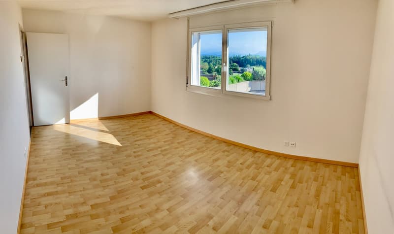 4.5 Zimmer Wohnung mit phantastischer Terrasse und Weitsicht (4)