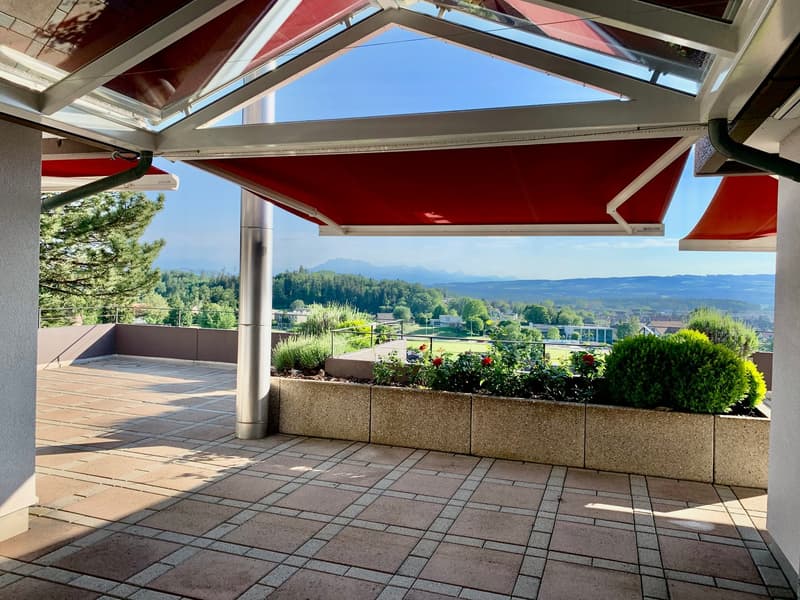 4.5 Zimmer Wohnung mit phantastischer Terrasse und Weitsicht (6)