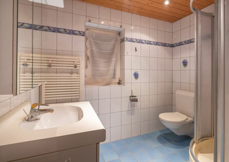 Charming Rental Pearl in Baden (11)