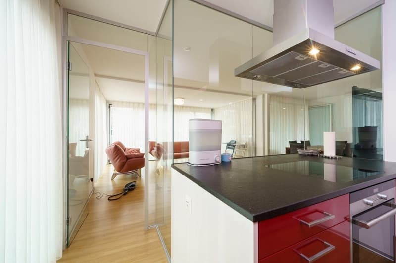 modern kitchen with glass walls, black countertop, red cabinets, stainless steel appliances, wooden floor
