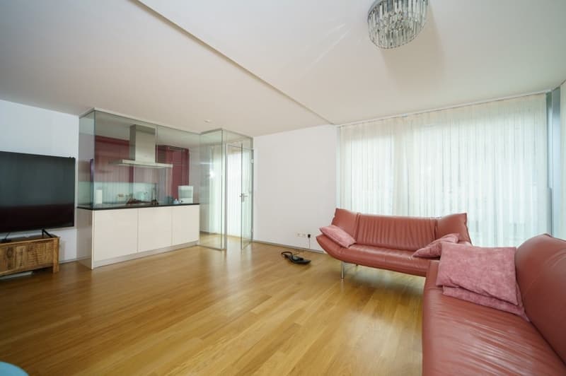 living room with wooden floor, two pink couches, TV, glass wall, kitchen