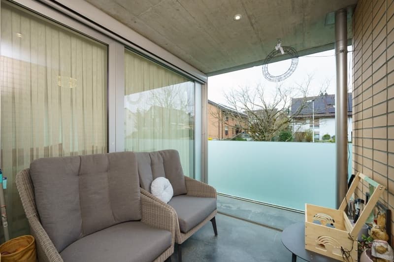 Two gray couches, round white pillow, glass walls, table, basket, wooden box, plants