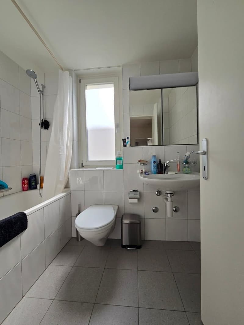 Charmante 4-Zimmer-Wohnung mit Balkon in Allschwil (7)
