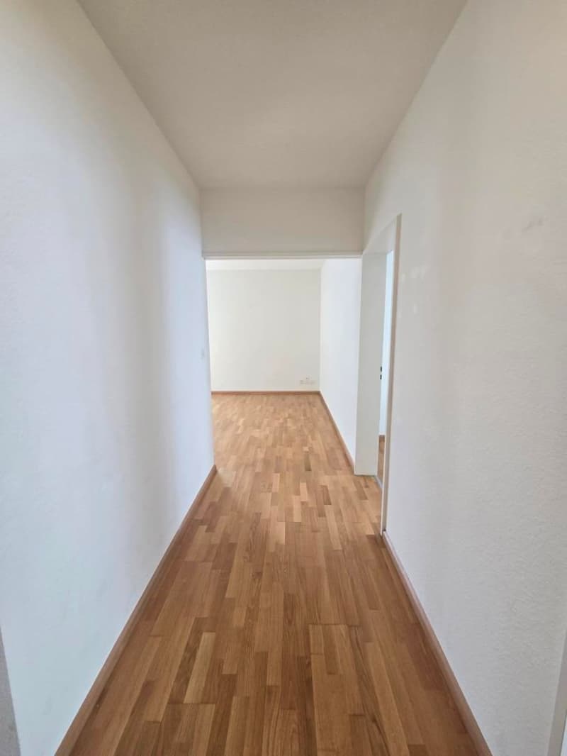 Charmante 4-Zimmer-Wohnung mit Balkon in Allschwil (5)