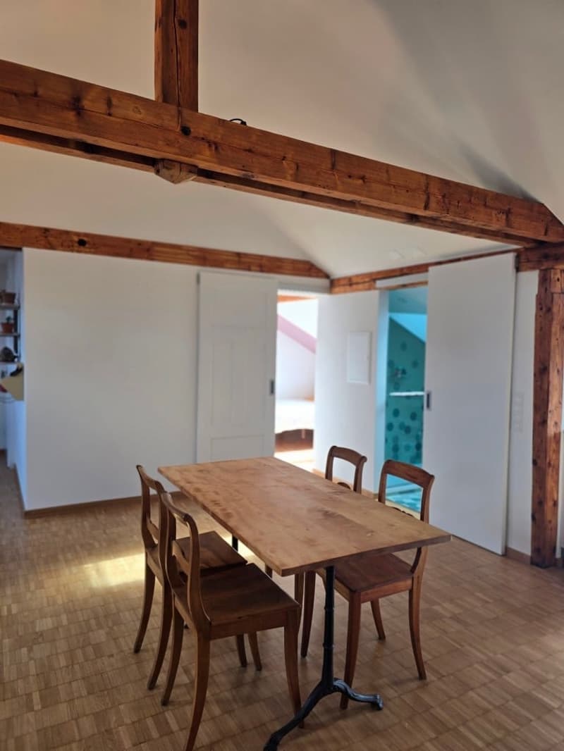 Charmante möblierte 2.5-Zimmer-Wohnung mit Stadtblick in Basel (12)