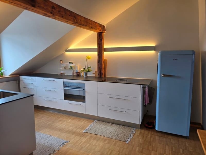 Charmante möblierte 2.5-Zimmer-Wohnung mit Stadtblick in Basel (1)