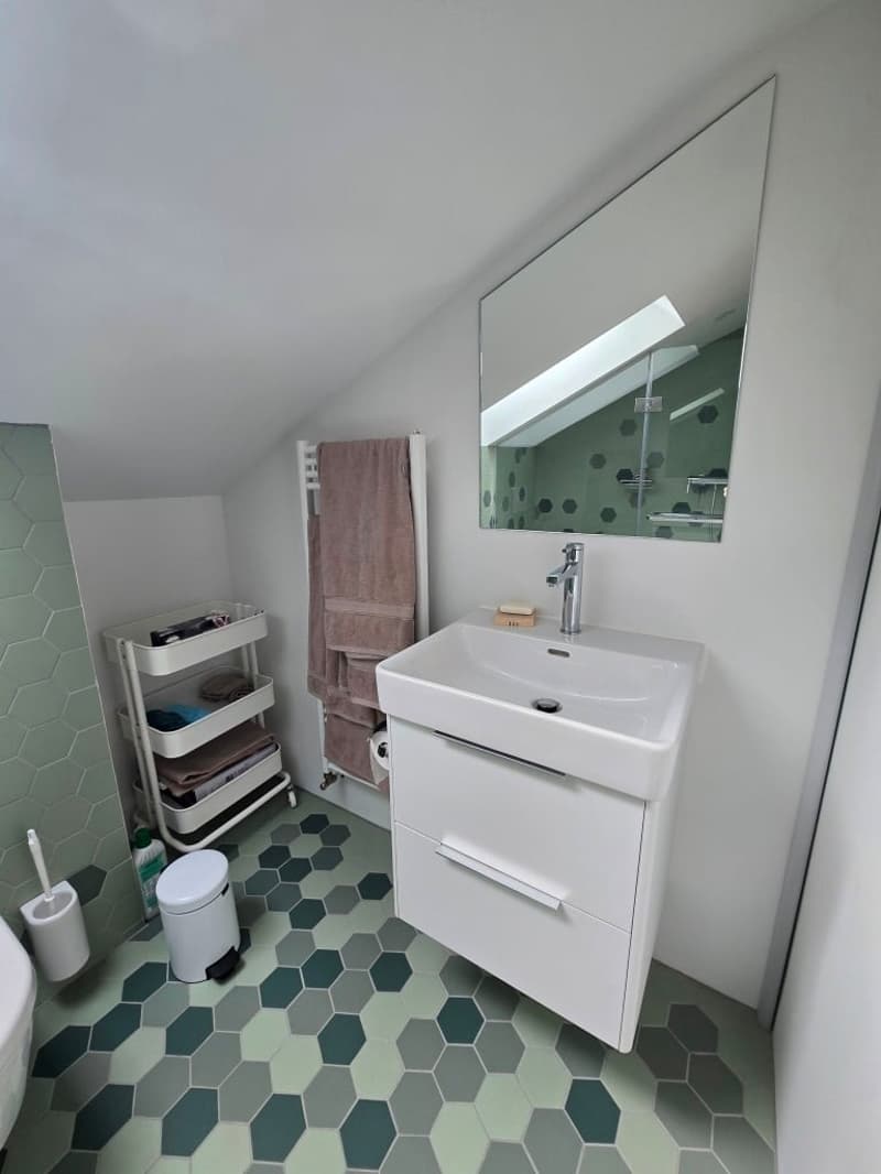 Charmante möblierte 2.5-Zimmer-Wohnung mit Stadtblick in Basel (4)