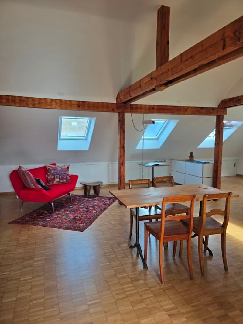 Charmante möblierte 2.5-Zimmer-Wohnung mit Stadtblick in Basel (13)