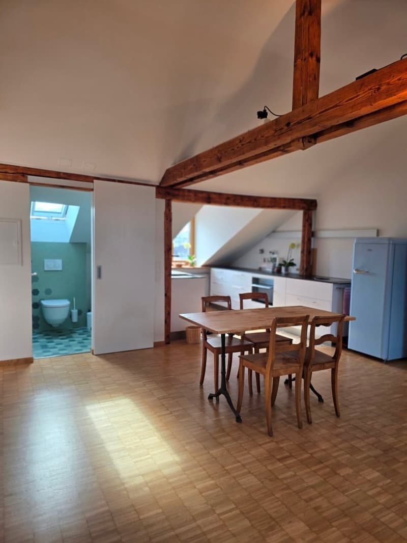 Charmante möblierte 2.5-Zimmer-Wohnung mit Stadtblick in Basel (11)