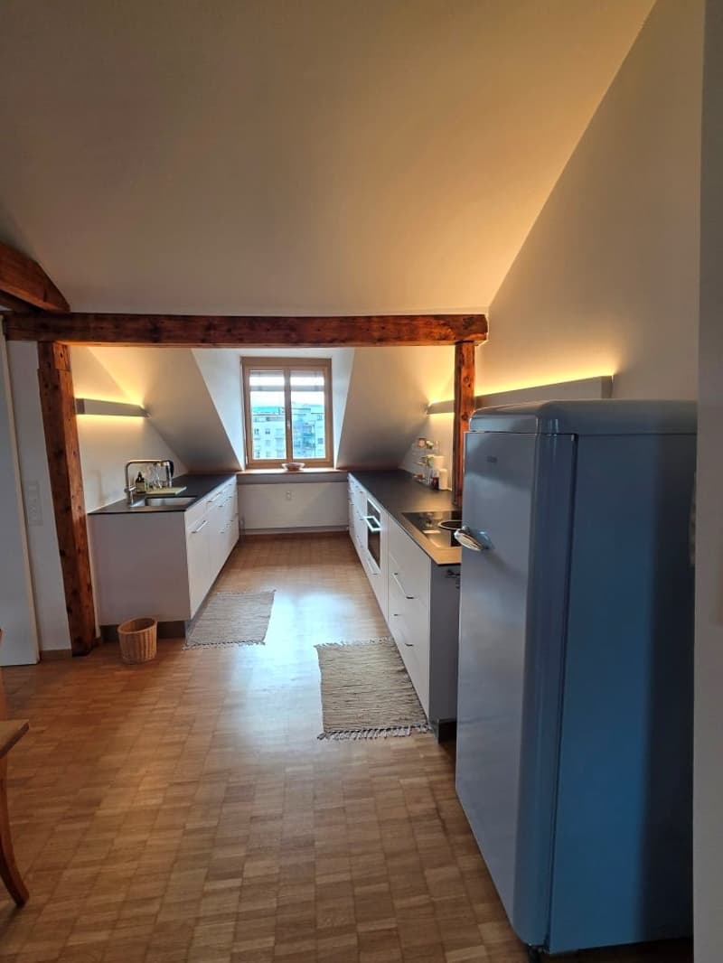 Charmante möblierte 2.5-Zimmer-Wohnung mit Stadtblick in Basel (2)