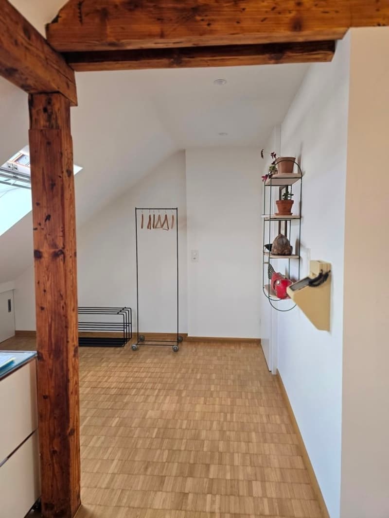 Charmante möblierte 2.5-Zimmer-Wohnung mit Stadtblick in Basel (9)