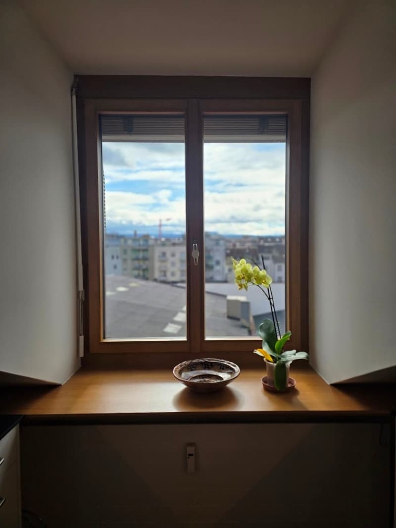 Charmante möblierte 2.5-Zimmer-Wohnung mit Stadtblick in Basel (16)