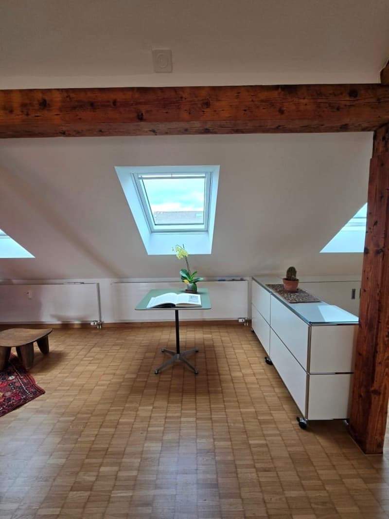 Charmante möblierte 2.5-Zimmer-Wohnung mit Stadtblick in Basel (8)