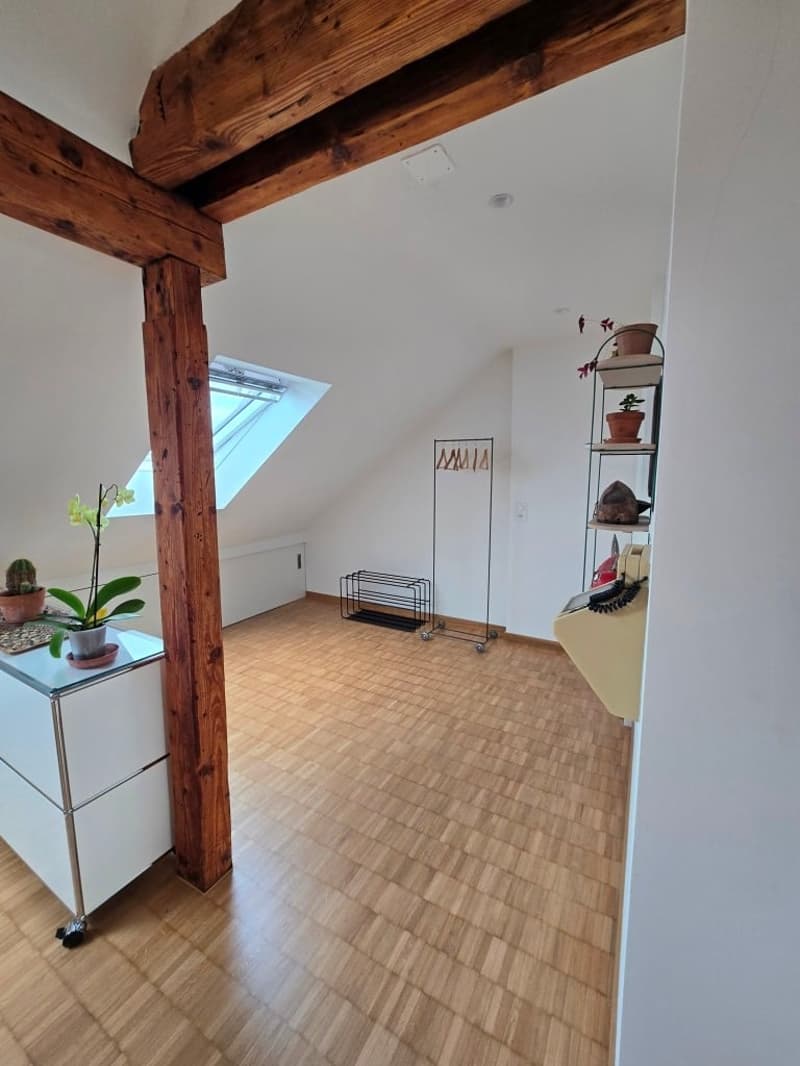 Charmante möblierte 2.5-Zimmer-Wohnung mit Stadtblick in Basel (6)