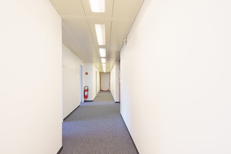 Erfolg beginnt mit der richtigen Adresse – 300 m² für Ihr Business! (4)