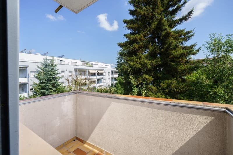 Charmante 4.5-Zimmer-Wohnung mit Balkon in Binningen (9)