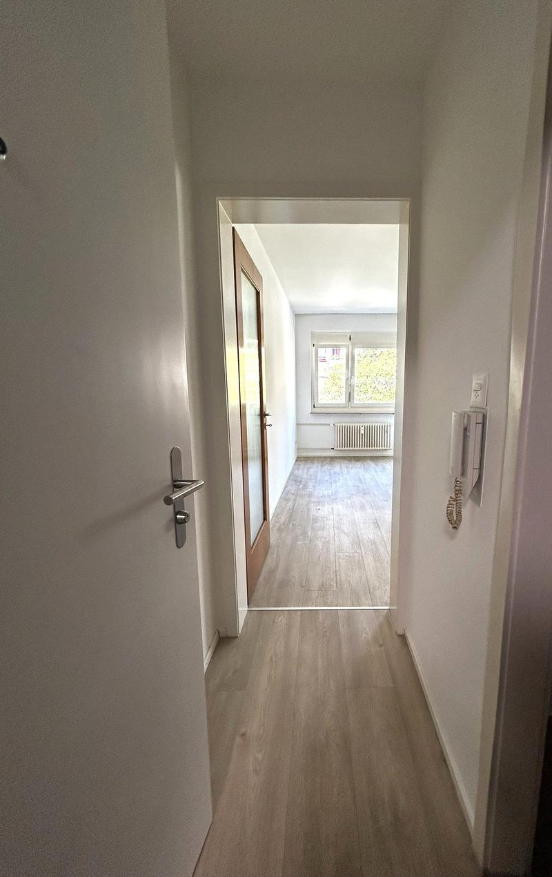 Helle 1-Zimmer-Wohnung mit Balkon - Nähe Zoo Basel (5)