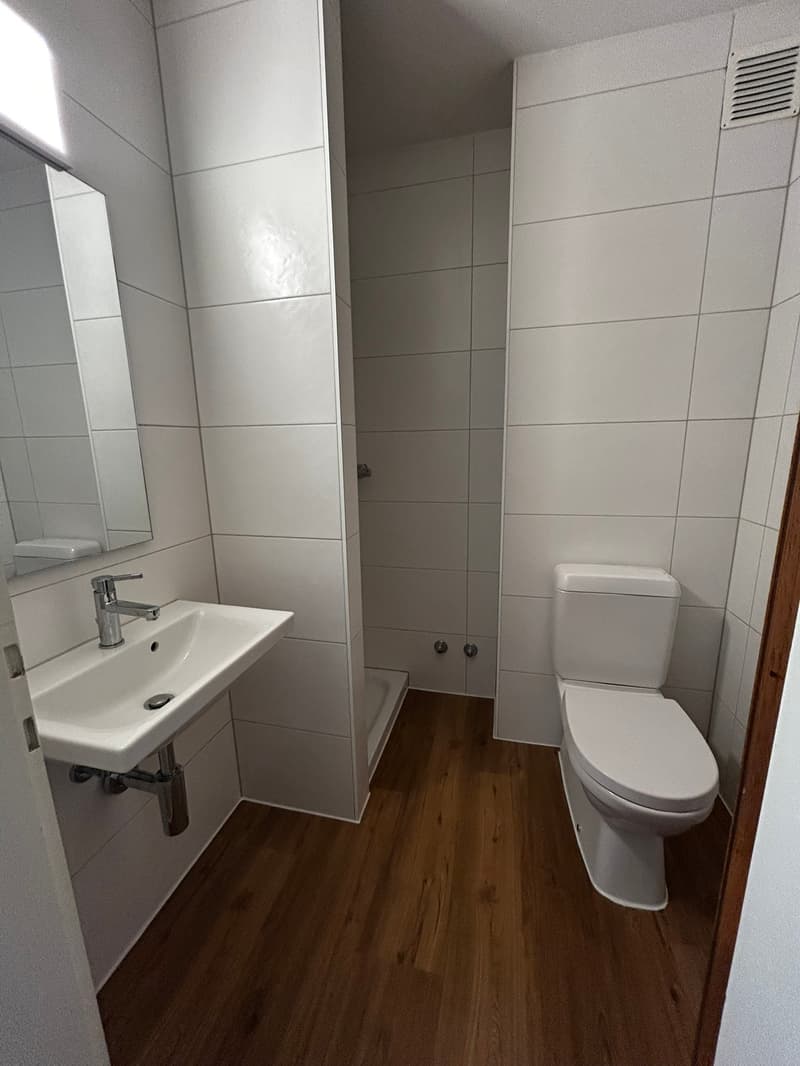 Helle 1-Zimmer-Wohnung mit Balkon - Nähe Zoo Basel (4)