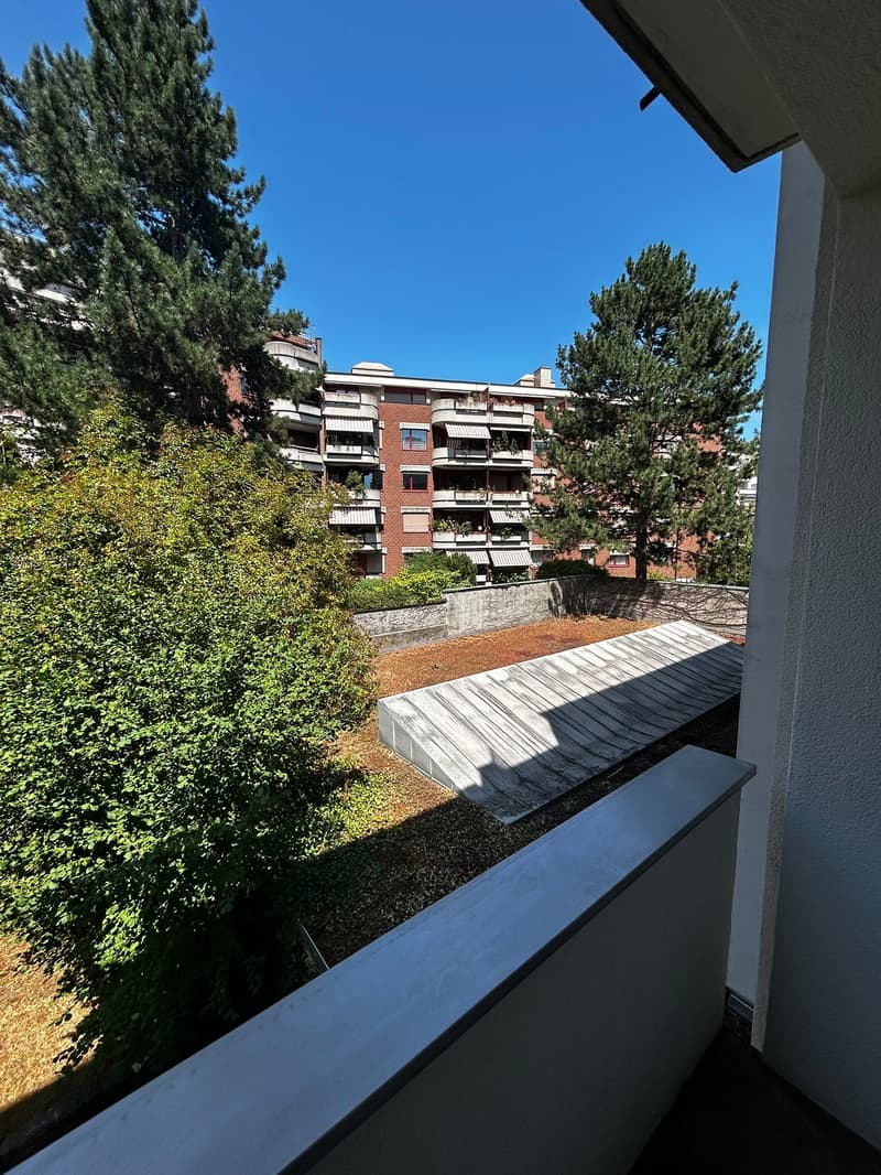 Helle 1-Zimmer-Wohnung mit Balkon - Nähe Zoo Basel (6)