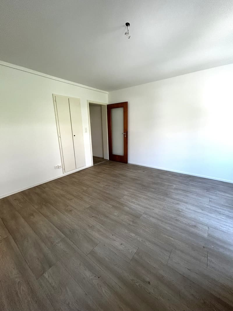 Helle 1-Zimmer-Wohnung mit Balkon - Nähe Zoo Basel (3)