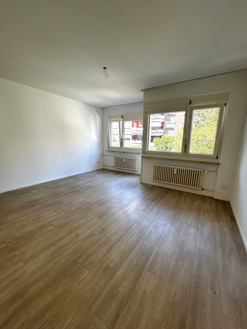 Helle 1-Zimmer-Wohnung mit Balkon - Nähe Zoo Basel (2)