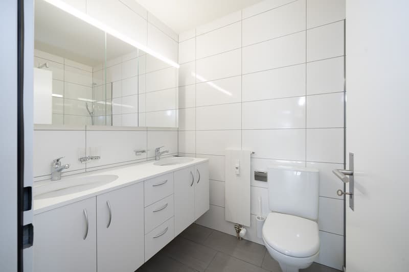 Die perfekte Balance: zentrale Lage, erstklassige Infrastruktur und Wohnen mit Komfort in Basel (10)