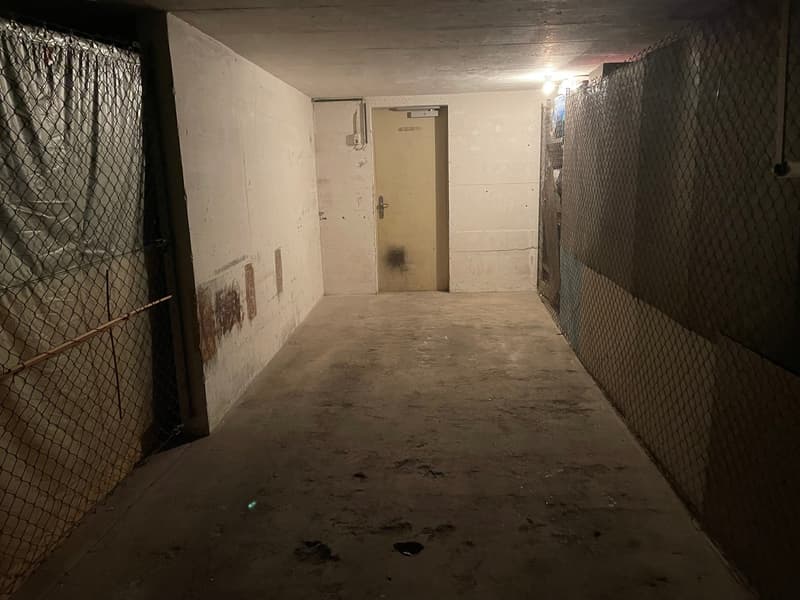 Einzelgaragen nähe Lindenplatz (4)