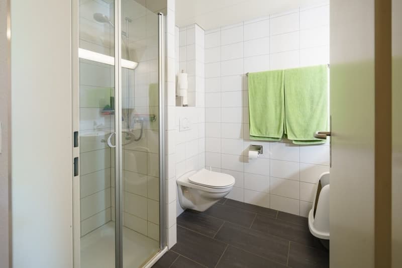Grosszügig. Ruhig. Naturnah. - 5.5-Zimmer-Maisonette-Wohnung in Muttenz (7)