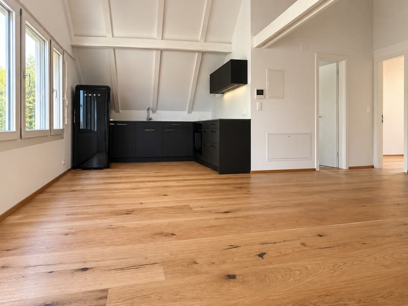 Charmant. Modern. Besonders. 2.5-Zimmer-Dachwohnung in Münchenstein (3)