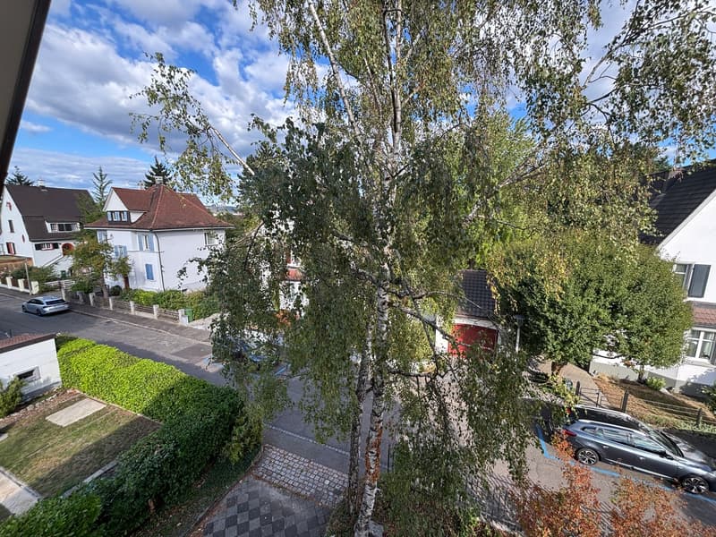Charmant. Modern. Besonders. 2.5-Zimmer-Dachwohnung in Münchenstein (18)