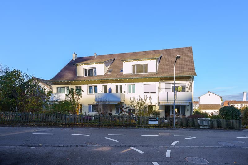 Helle 3-Zimmer-Wohnung mit schöner Aussicht in Pratteln (1)