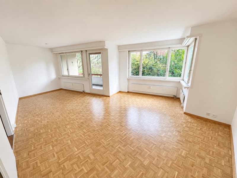 Klein, charmant, besonders – 1.5-Zimmer-Wohnung im Retro-Style in Riehen (2)
