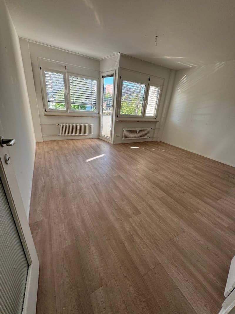 Helle 1-Zimmer-Wohnung mit Balkon - Nähe Zoo Basel (2)